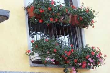 Frazione Nocco - Balcone Fiorito