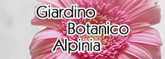 Giardino Botanico Alpinia